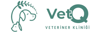 VetQ Veteriner